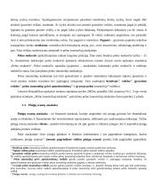 Finansinė atskaitomybė (konspektas) 12 puslapis