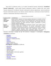 Finansinė atskaitomybė (konspektas) 3 puslapis