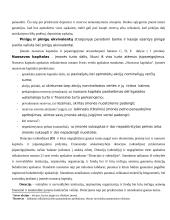 Finansinė atskaitomybė (konspektas) 7 puslapis