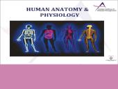 Anatomy Physiology