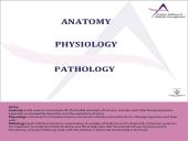Anatomy Physiology 2 puslapis