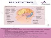 Anatomy Physiology 16 puslapis