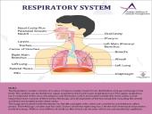 Anatomy Physiology 10 puslapis