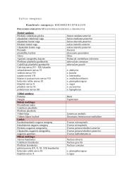 Nugaros smegenys (konspektas) 2 puslapis