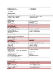 Nugaros smegenys (konspektas) 3 puslapis