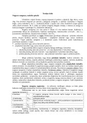 Nugaros smegenys (konspektas) 5 puslapis