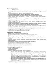 Nugaros smegenys (konspektas) 6 puslapis