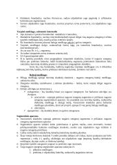 Nugaros smegenys (konspektas) 7 puslapis