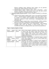 Nugaros smegenys (konspektas) 9 puslapis