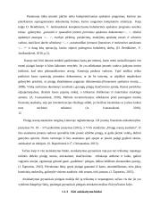 Atsiskaitymų apskaita ir analizė 12 puslapis