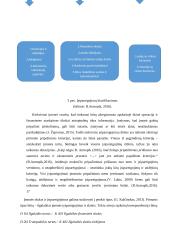 Atsiskaitymų apskaita ir analizė 17 puslapis