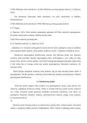 Atsiskaitymų apskaita ir analizė 19 puslapis