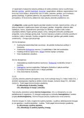 Kvėpavimas - konspektas 2 puslapis