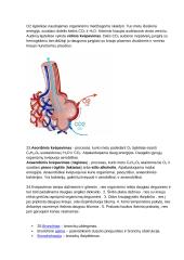 Kvėpavimas - konspektas 3 puslapis