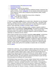 Kvėpavimas - konspektas 4 puslapis