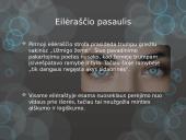 Maironis „Užmigo žemė“ analizė 5 puslapis