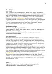 Hostelio Nidoje su terasa ir baru atidarymo verslo planas 3 puslapis