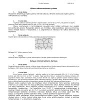 Metalu kietumo mikrostruktūros tyrimas 3 puslapis