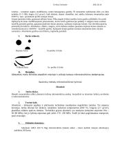 Metalu kietumo mikrostruktūros tyrimas 4 puslapis