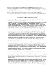 Lietuvių kalbos konspektai 13 puslapis