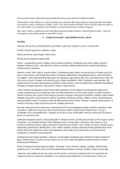 Lietuvių kalbos konspektai 3 puslapis