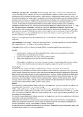 Lietuvių kalbos konspektai 8 puslapis