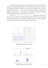 Praktikos ataskaita PST įmonėje 15 puslapis