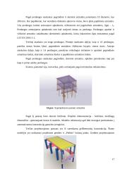 Praktikos ataskaita PST įmonėje 16 puslapis