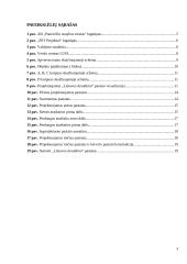 Praktikos ataskaita PST įmonėje 2 puslapis