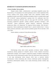 Praktikos ataskaita PST įmonėje 9 puslapis