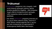 Antivirusinės programos projektas 5 puslapis