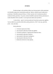 „Slapto pirkėjo“ stebėjimo tyrimas 2 puslapis