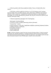 Mikroschemų projektavimas 4 puslapis