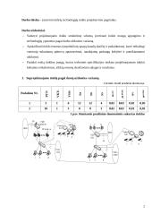 Mišrių technologijų tinklo projektavimas 2 puslapis