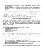 Apyvartinio kapitalo valdymas 3 puslapis