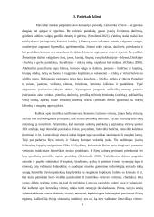 Autentiškumo paieška tarp lietuviškų patiekalų: kaimyninių šalių įtaka tradicinei virtuvei 8 puslapis