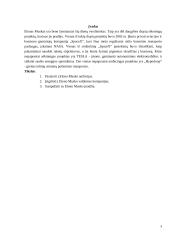 Elonas Muskas, SpaceX įkūrėjas, Tesla inc. vadovas referatas 2 puslapis