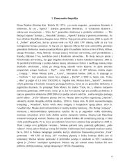 Elonas Muskas, SpaceX įkūrėjas, Tesla inc. vadovas referatas 3 puslapis