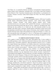 Elonas Muskas, SpaceX įkūrėjas, Tesla inc. vadovas referatas 4 puslapis