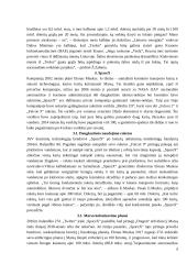 Elonas Muskas, SpaceX įkūrėjas, Tesla inc. vadovas referatas 5 puslapis