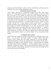 Elonas Muskas, SpaceX įkūrėjas, Tesla inc. vadovas referatas 8 puslapis