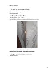 Statinio analizė 10 puslapis