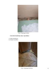 Statinio analizė 11 puslapis