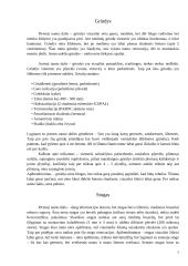 Statinio analizė 6 puslapis