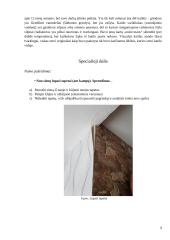 Statinio analizė 8 puslapis