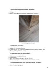 Statinio analizė 9 puslapis