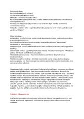 Profesinė etika kaip etikos mokslo dalis  3 puslapis