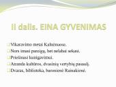 Skaidrės - Altorių šešėly 10 puslapis