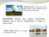 Skaidrės - Altorių šešėly 16 puslapis