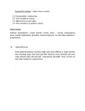 Tėvas lietuvių literatūroje - kalbėjimo planas 3 puslapis